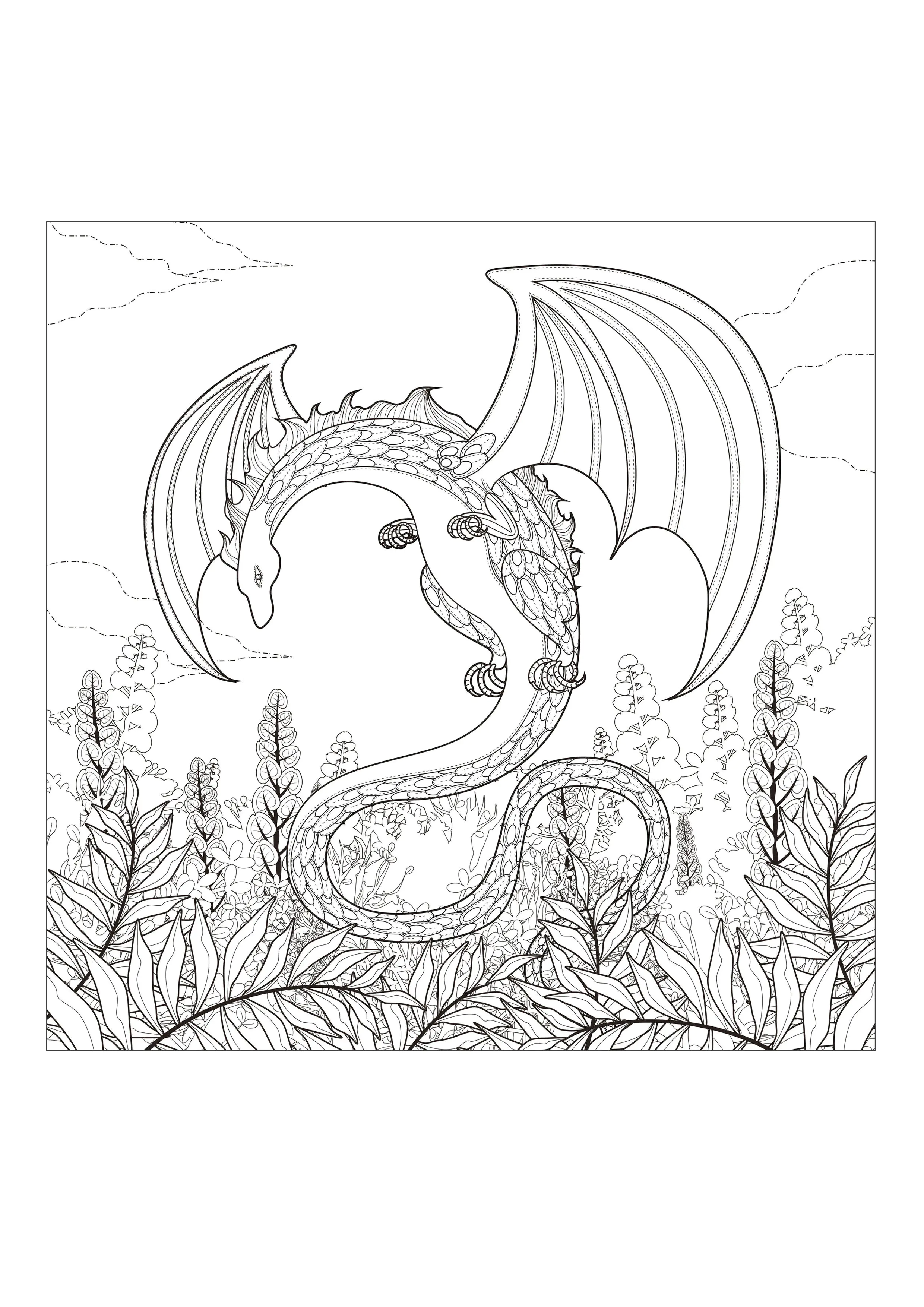 Dragon à colorier avec de nombreux détails