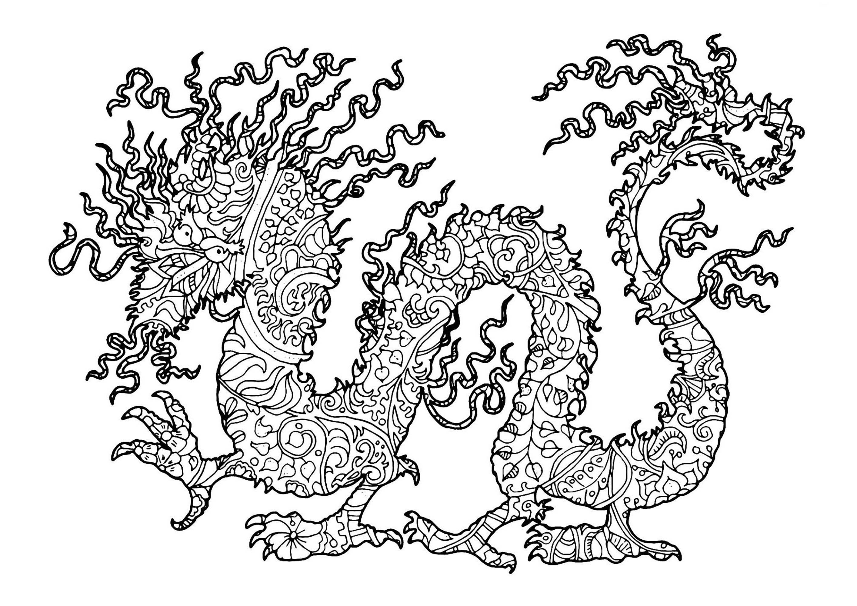 Dragon : coloriage complexe, Source : 123rf   Artiste : Vera Petruk