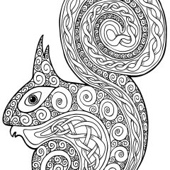 Coloriages d'Ecureuils et rongeurs à imprimer pour adultes