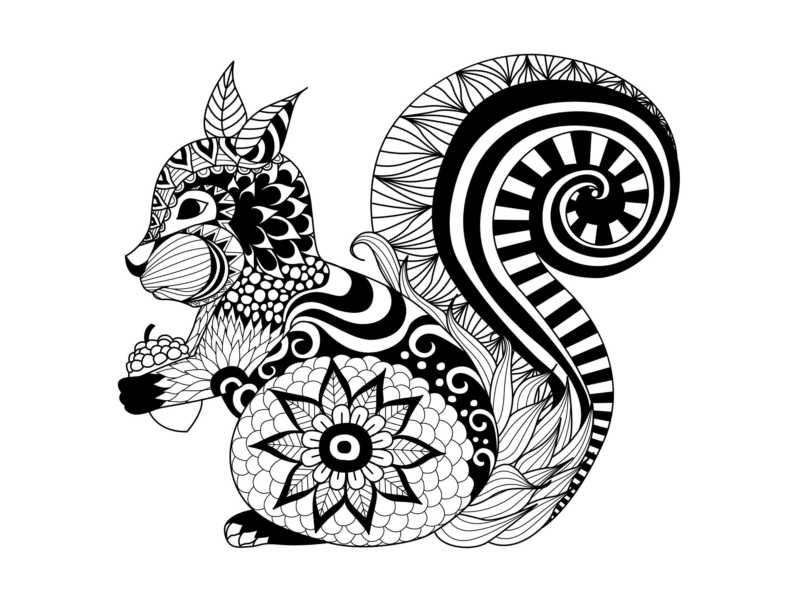 Un joli écureuil dessiné avec le style Zentangle, Artiste : Bimdeedee   Source : 123rf
