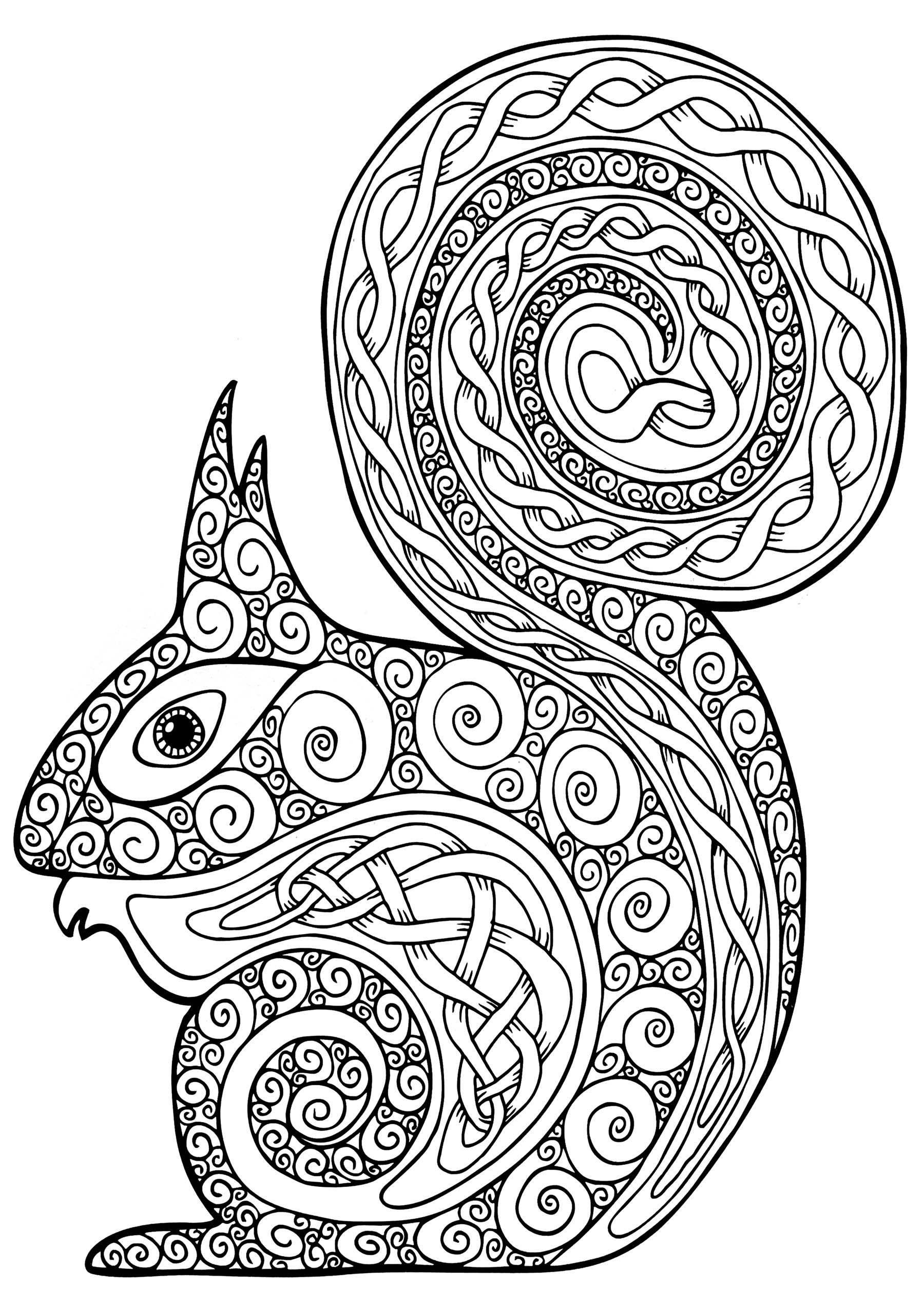 Joli écureuil à colorier, plein de motifs entrelacés, Artiste : Art'Isabelle