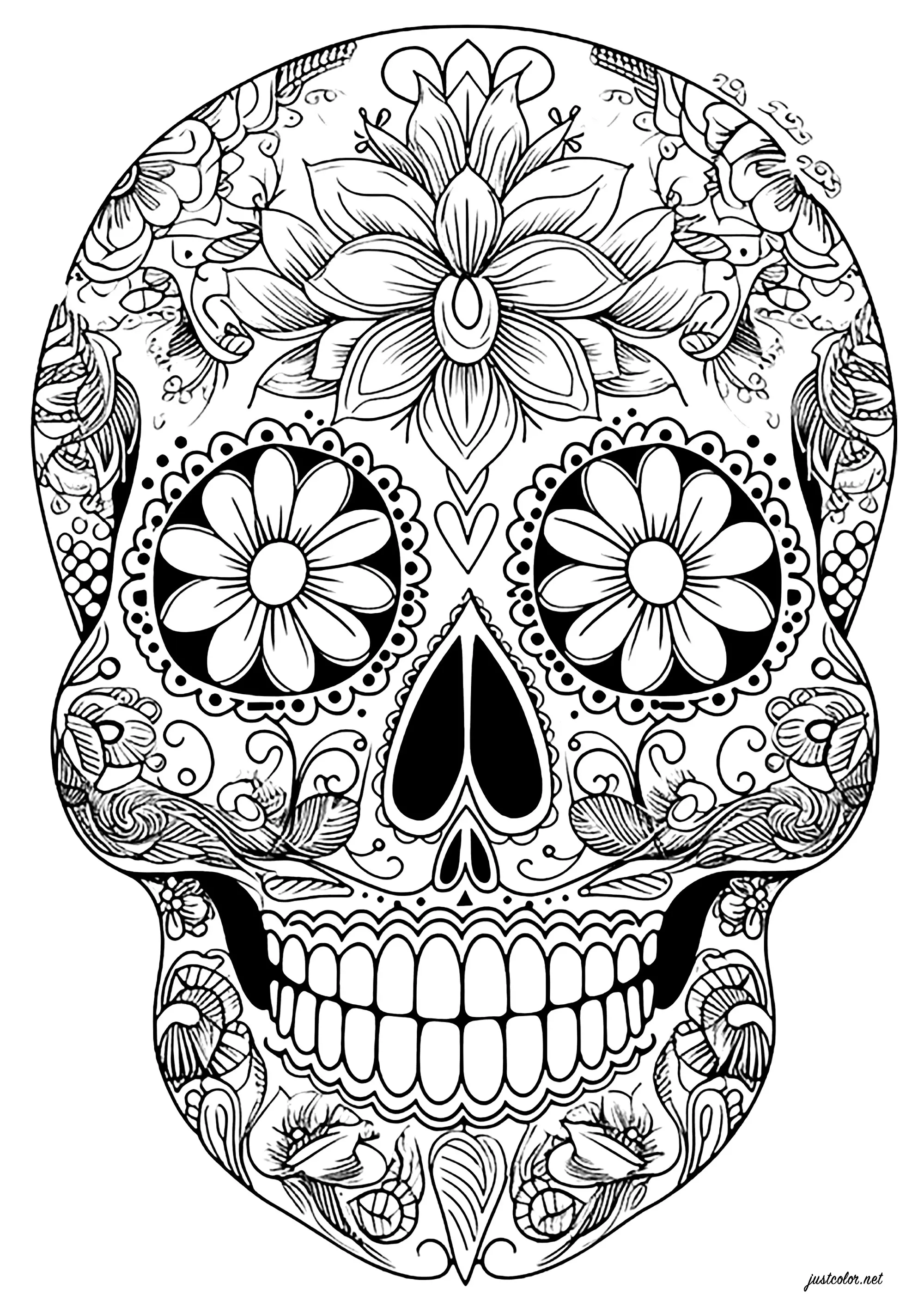 Crâne Día de los muertos - motifs floraux élégants (Coloriage d'El Dia de los Muertos à imprimer pour adultes)