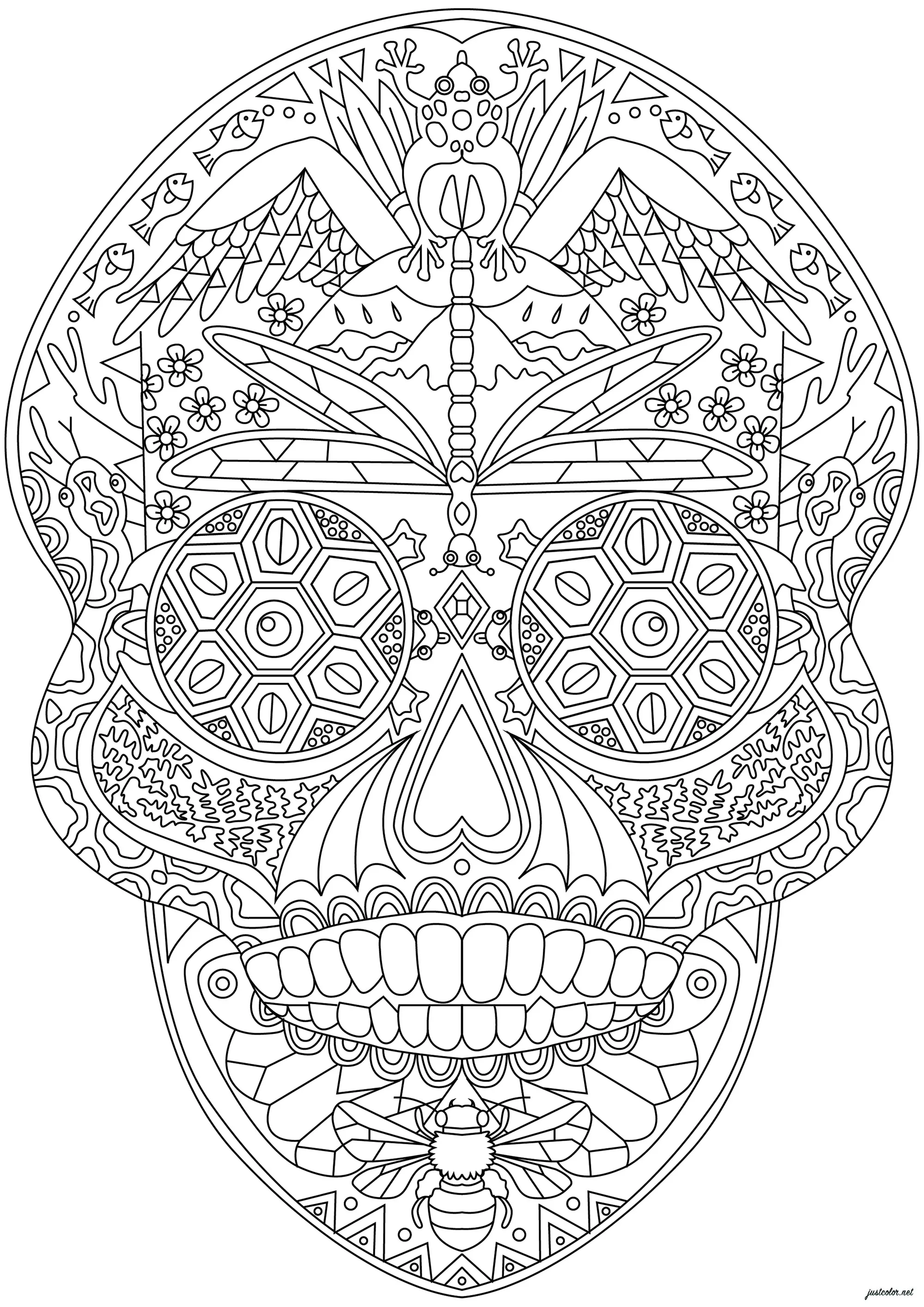 Crâne décoré de nombreux motifs complexes (Coloriage d'El Dia de los Muertos à imprimer pour adultes)