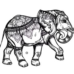 Coloriages d'Eléphants à imprimer pour adultes