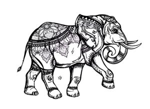 Coloriage elephant elegant