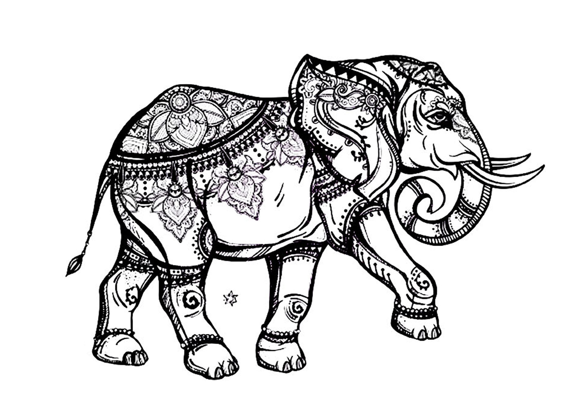 Elephant elegant  Eléphants  Coloriages difficiles pour adultes