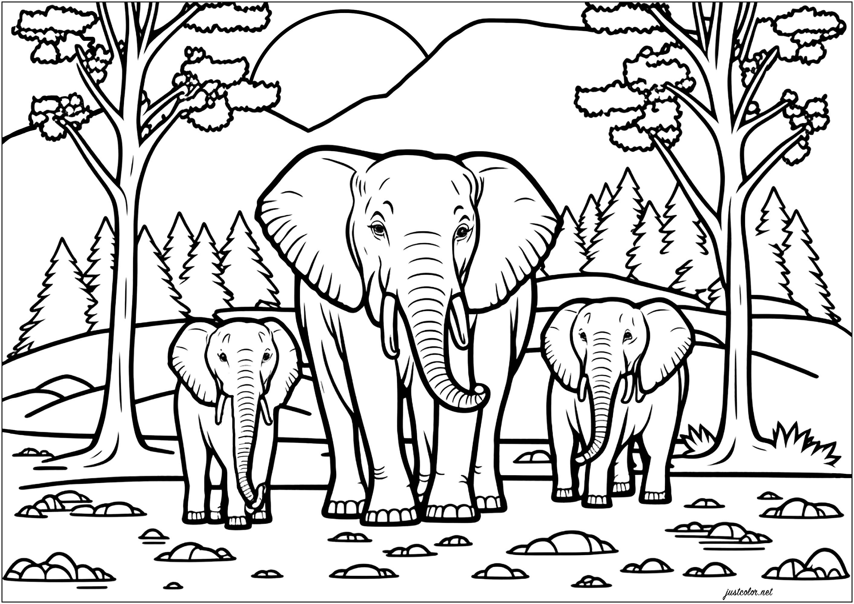 Famille d'éléphant dans la savane. En arrière plan : de jolis arbres, et une montagne derrière laquelle on voit le soleil se lever