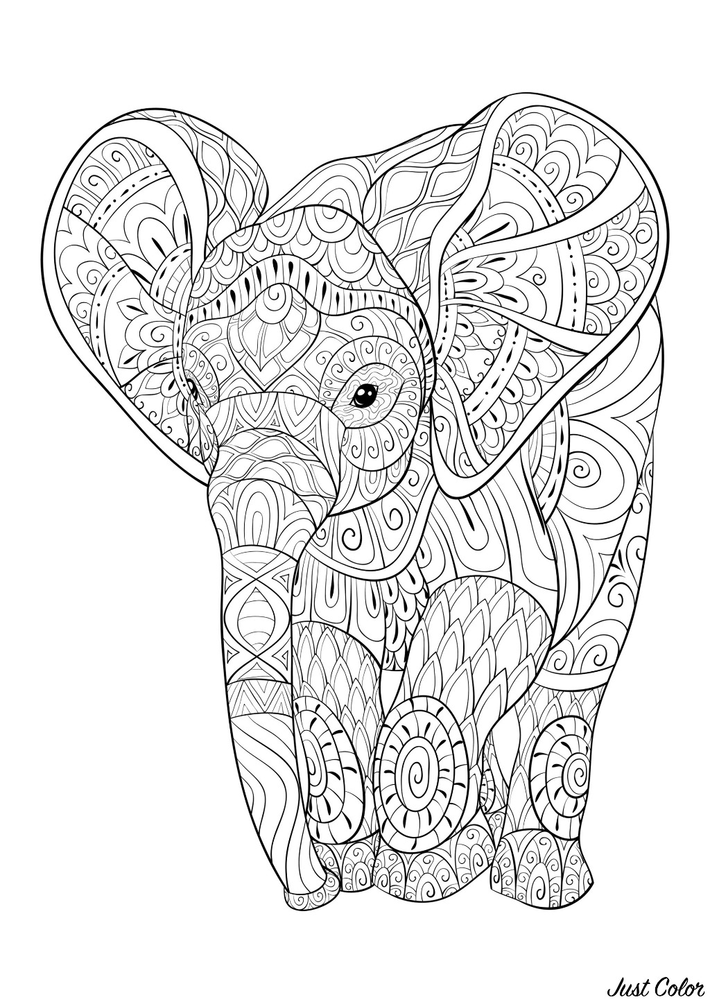 Jeune éléphant avec jolis motifs à colorier
