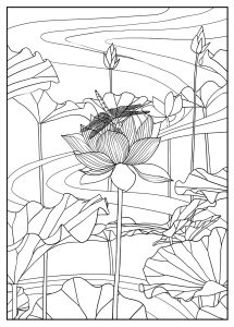 Coloriage adulte lotus par mizu