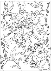 Joli dessin de fleurs à colorier