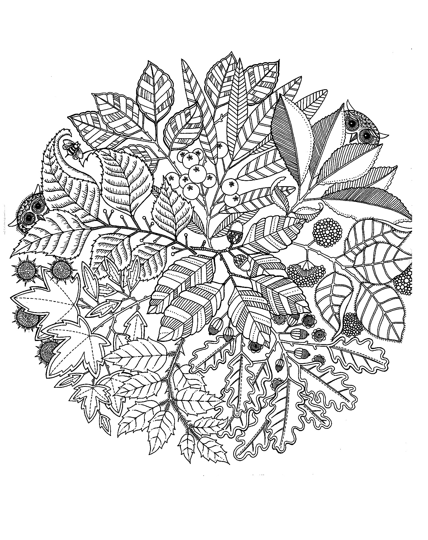 Coloriage Mandala Adulte Florale Nature 2020 Dessin Mandala à imprimer