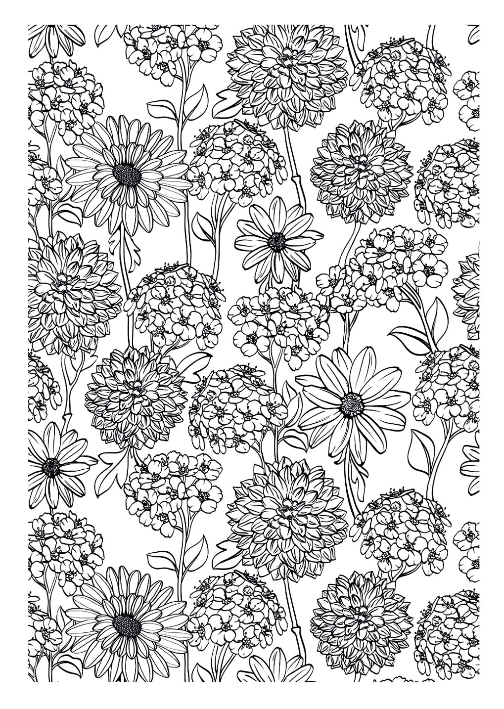 De belles fleurs joliment dessinées pour un coloriage complexe pour lequel patience et souci du détail sont indispensables