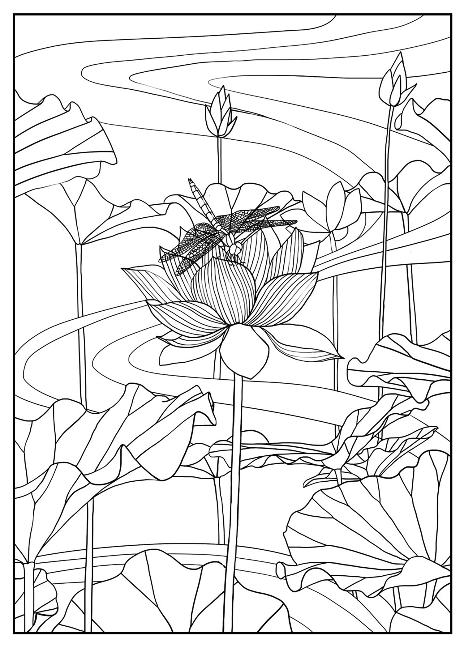 Lotus, coloriage exclusif, Artiste : Mizu