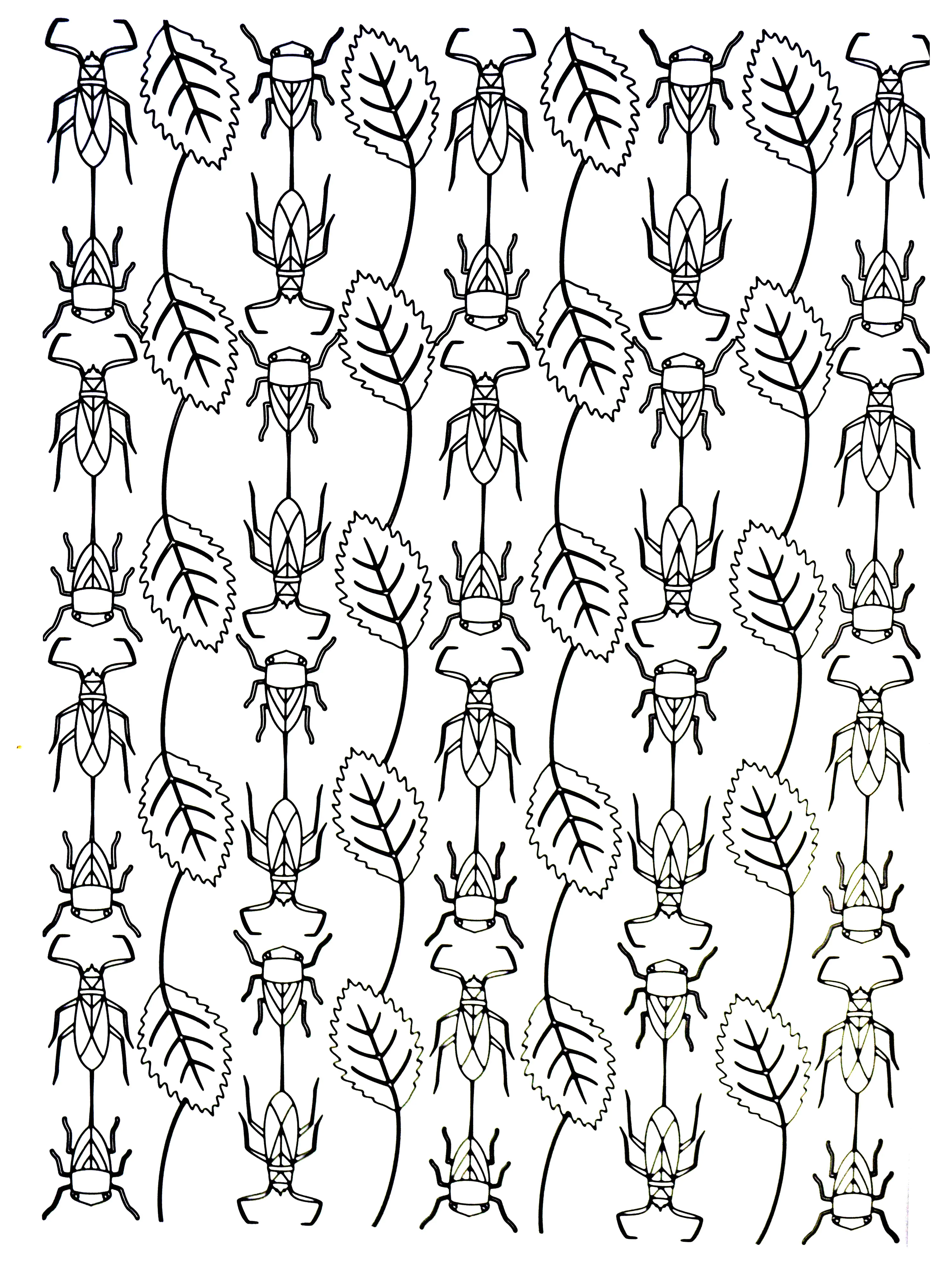 Feuilles et insectes (Coloriage de Fleurs et végétation à imprimer pour adultes)