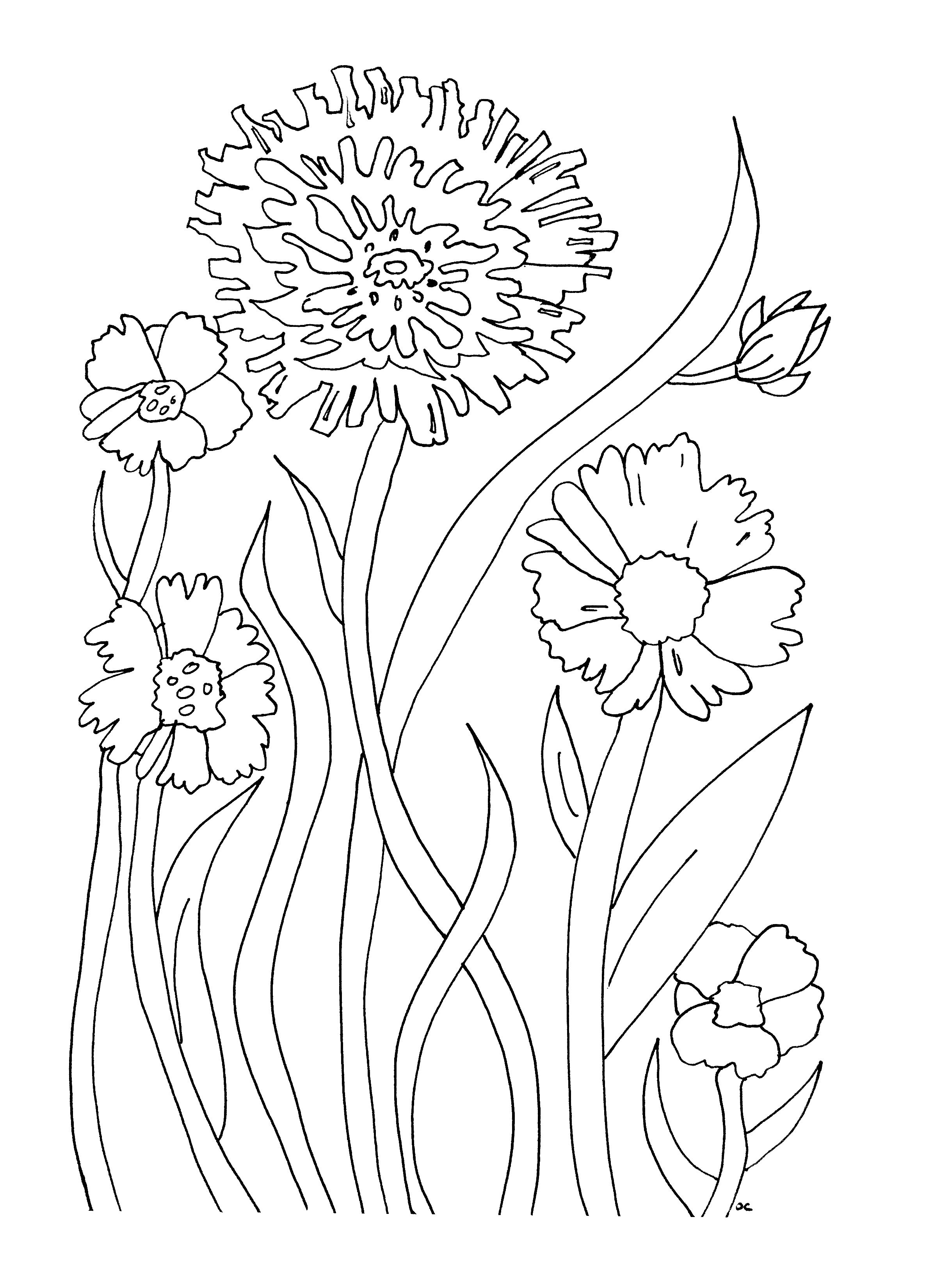 Simples fleurs un coloriage assez facile