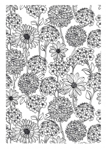 De belles fleurs joliment dessinées pour un coloriage complexe pour lequel patience et souci du détail sont indispensables (Coloriage de Fleurs et végétation)