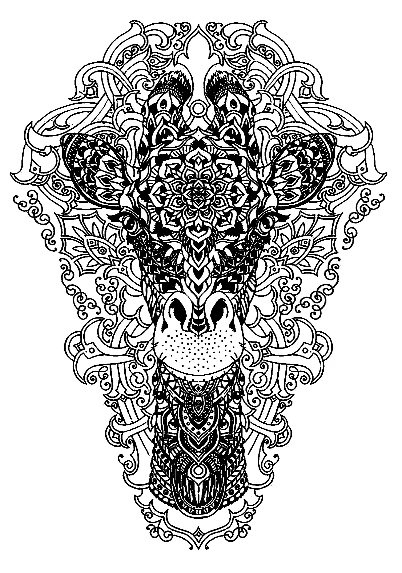 Tete de girafe  Girafes  Coloriages difficiles pour adultes