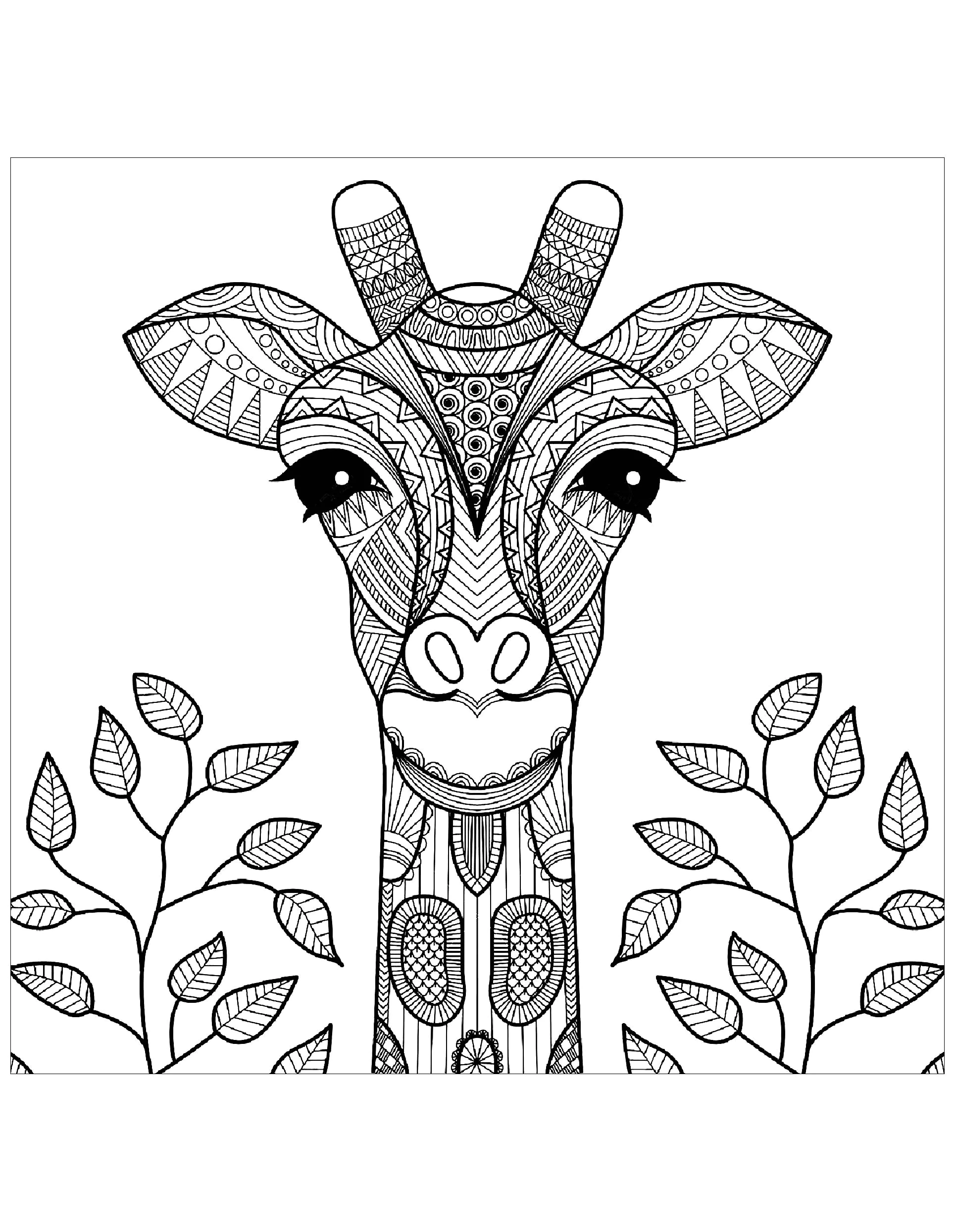 Tete de girafe et feuilles (Coloriage à imprimer pour adultes)
