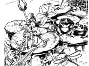 Coloriages de Grenouilles à imprimer pour adultes
