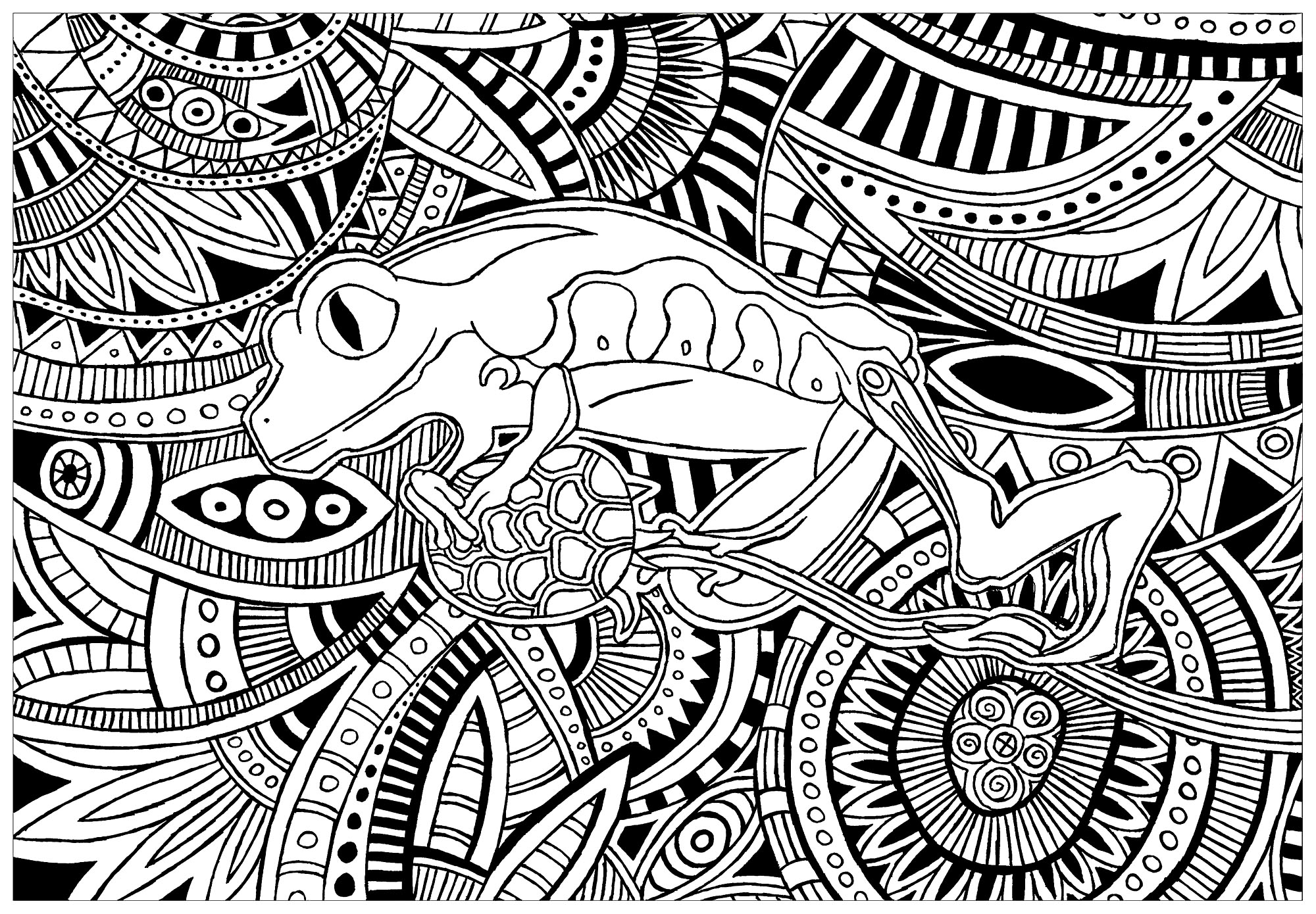 Coloriage de Lucie : Grenouille fond motifs Coloriage de Lucie à imprimer pour adultes : Grenouille fond motifs