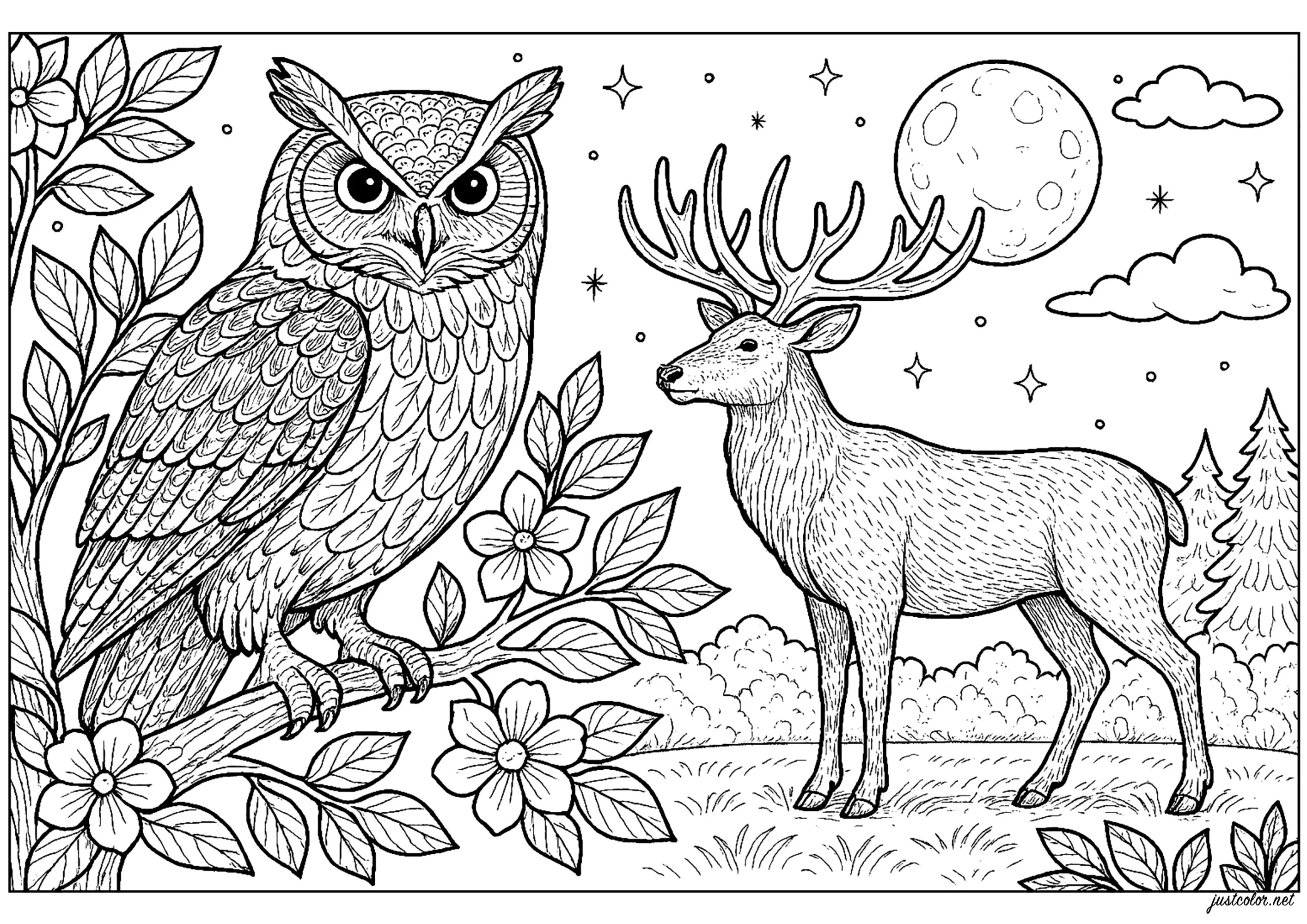 Rencontre nocturne sous la lune (Coloriage d'Hiboux à imprimer pour adultes)