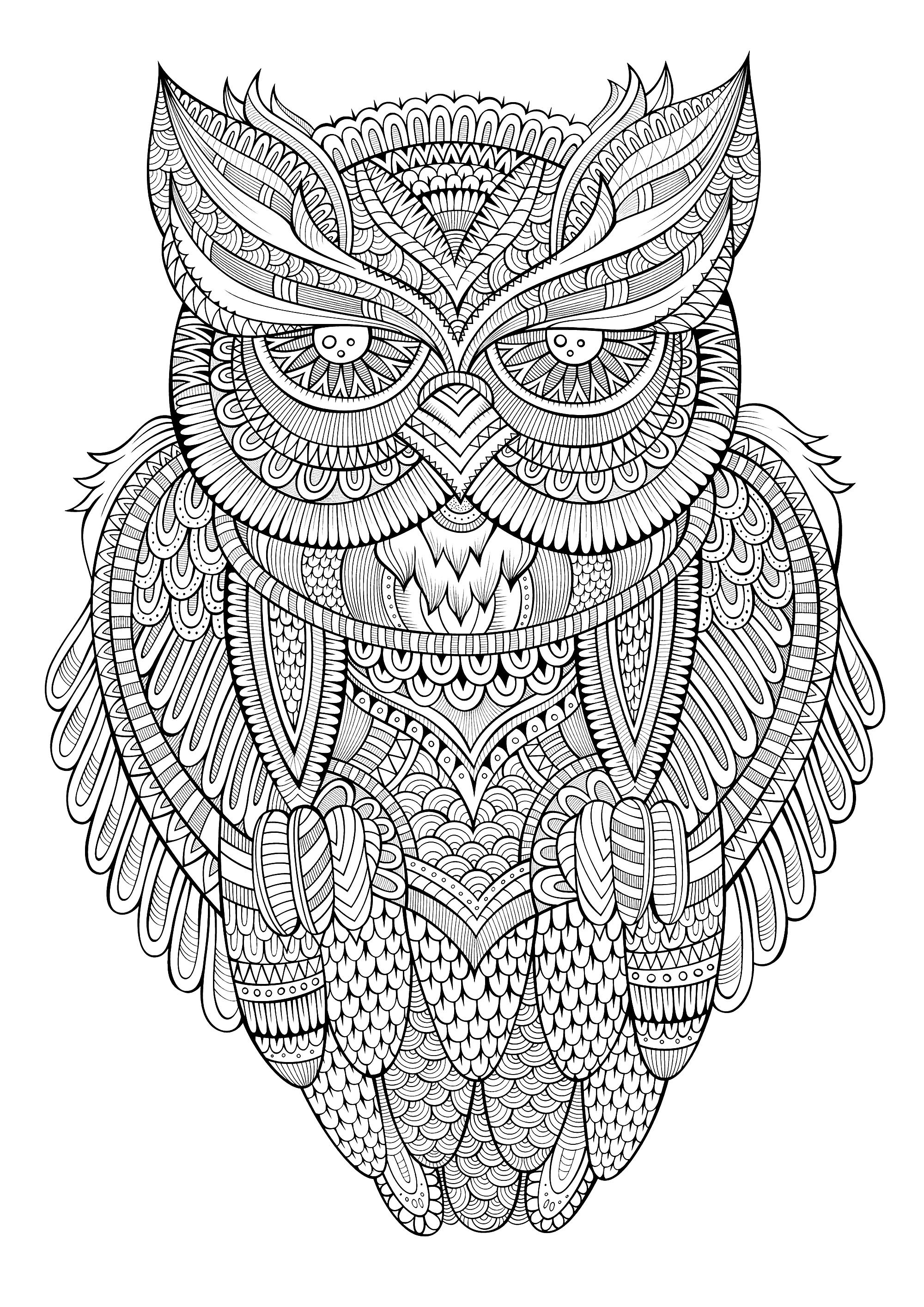 Coloriage d'un hibou rempli de jolis motifs, Source : 123rf   Artiste : Olga Kostenko