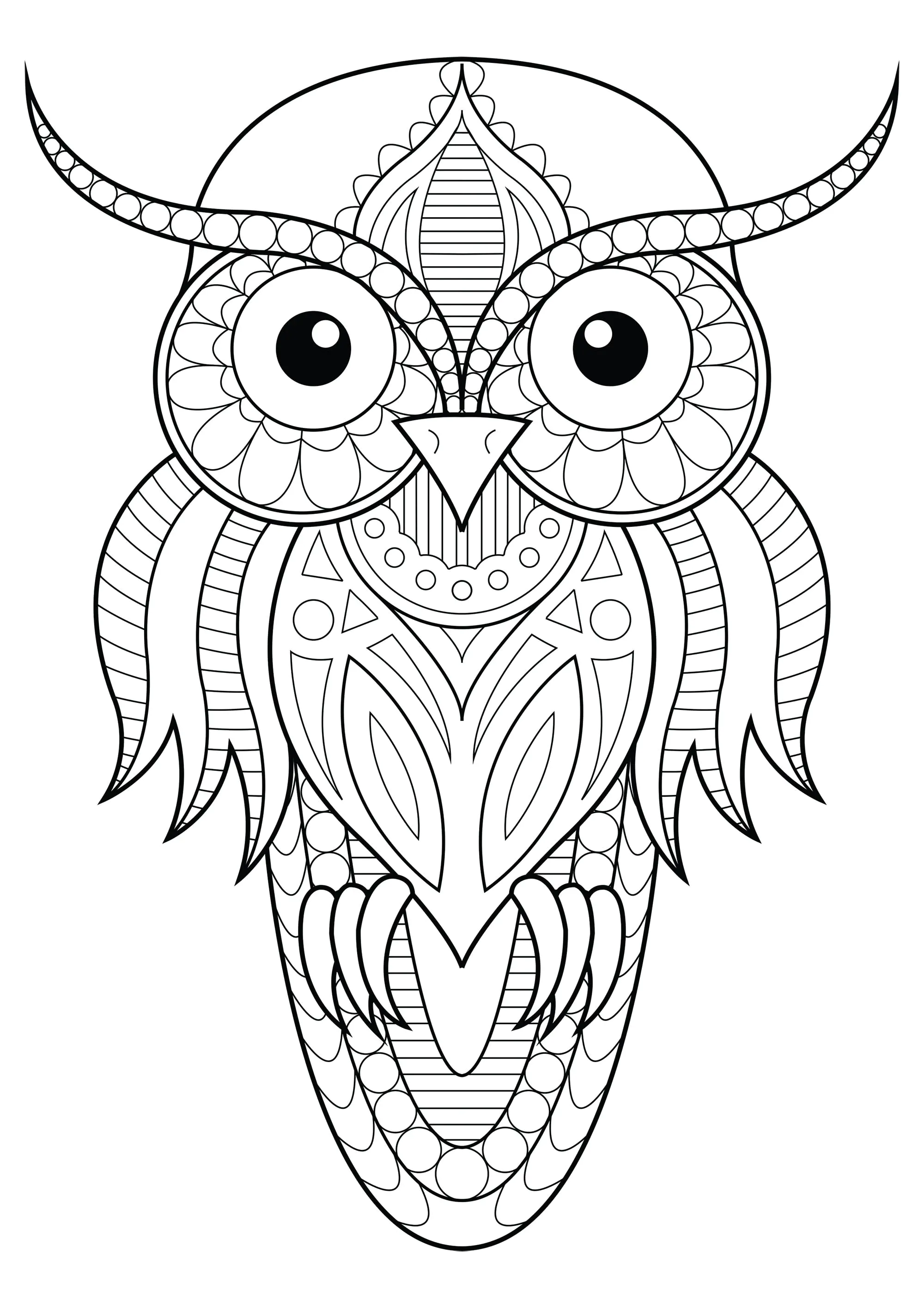 Hibou aux motifs simples - 1 (Coloriage d'Hiboux à imprimer pour adultes)