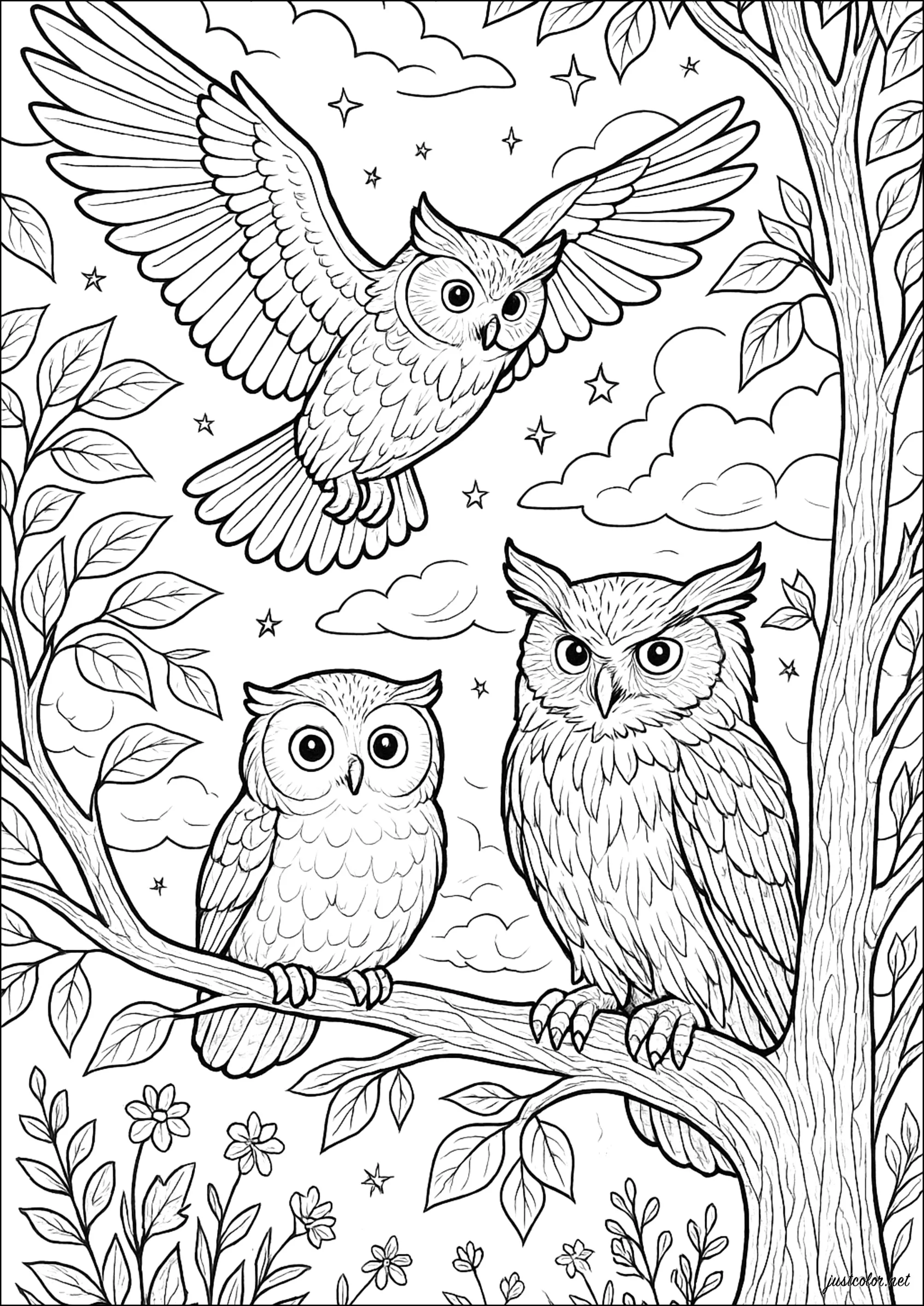 Famille de hiboux sous les étoiles (Coloriage à imprimer pour adultes)