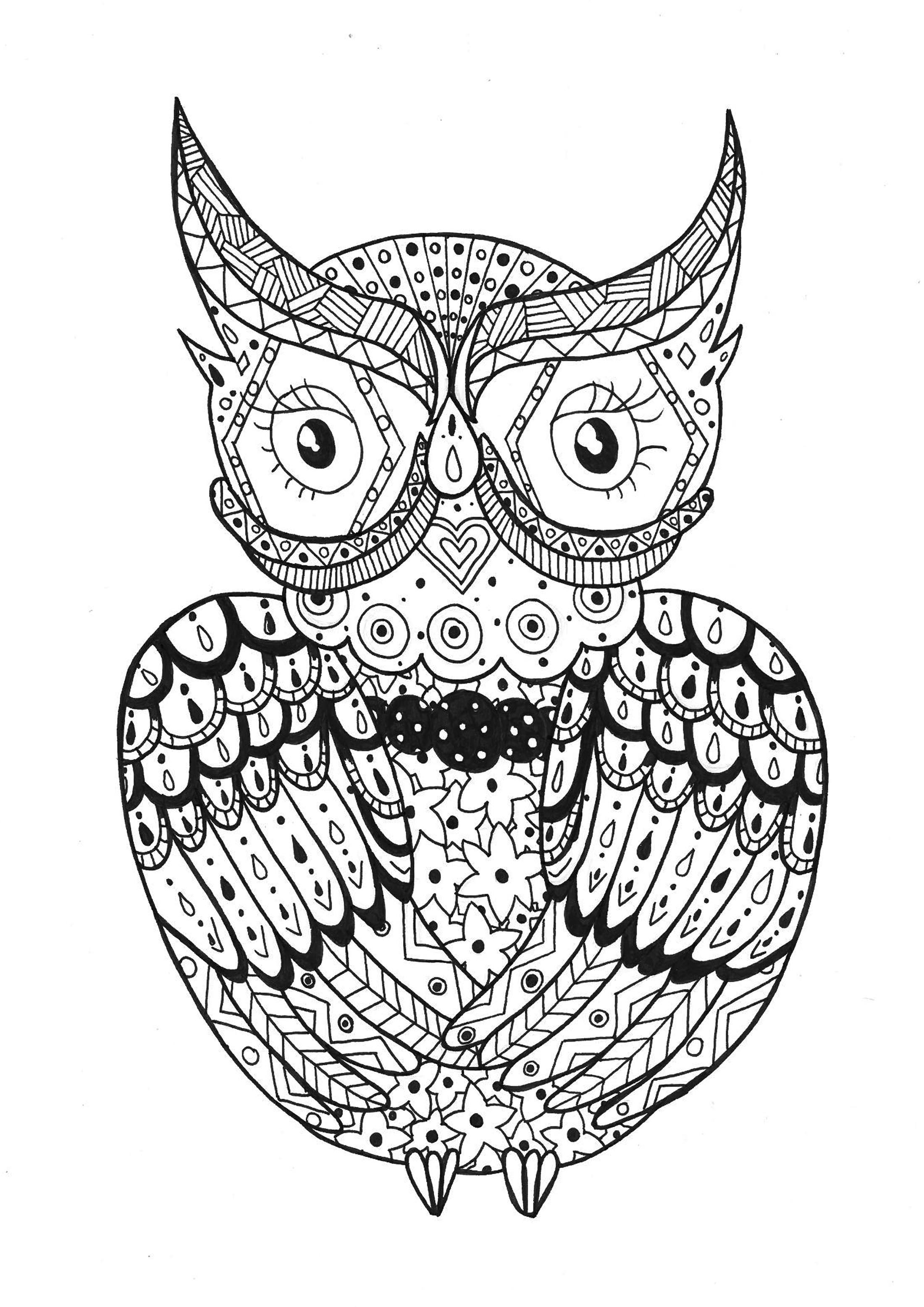 Simple Hibou Rachel Hiboux Coloriages Difficiles Pour