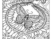 Coloriages de Papillons et Insectes à imprimer pour adultes