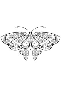 Coloriage papillon jolis motifs 1