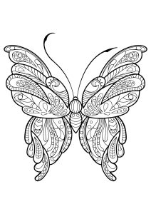 Coloriage papillon jolis motifs 16