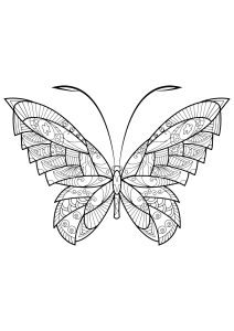 Coloriage papillon jolis motifs 17