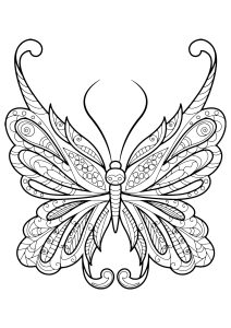Incroyable papillon aux motifs simples