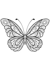 Coloriage papillon jolis motifs 5