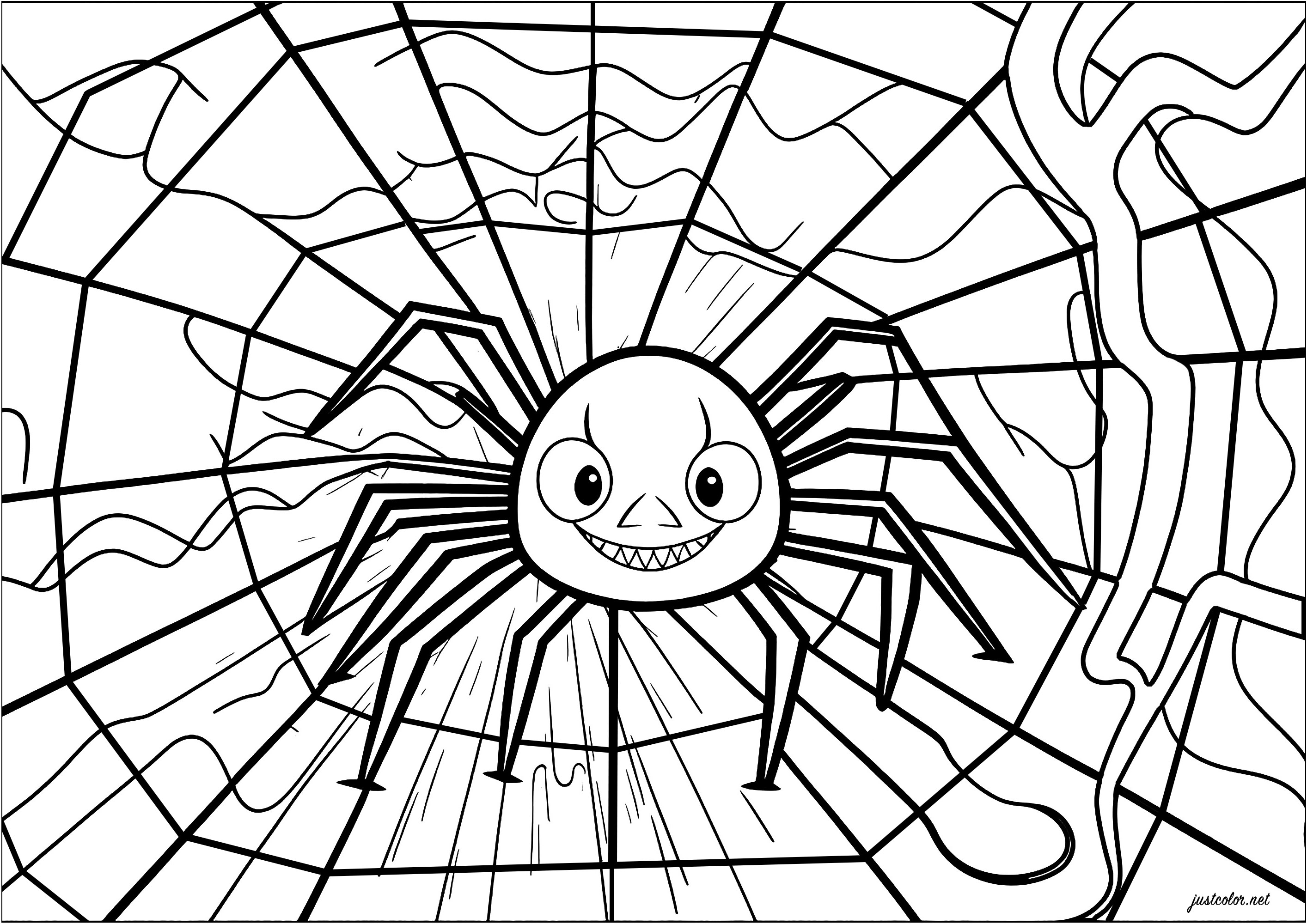 Une araignée souriante bien installée dans sa toile