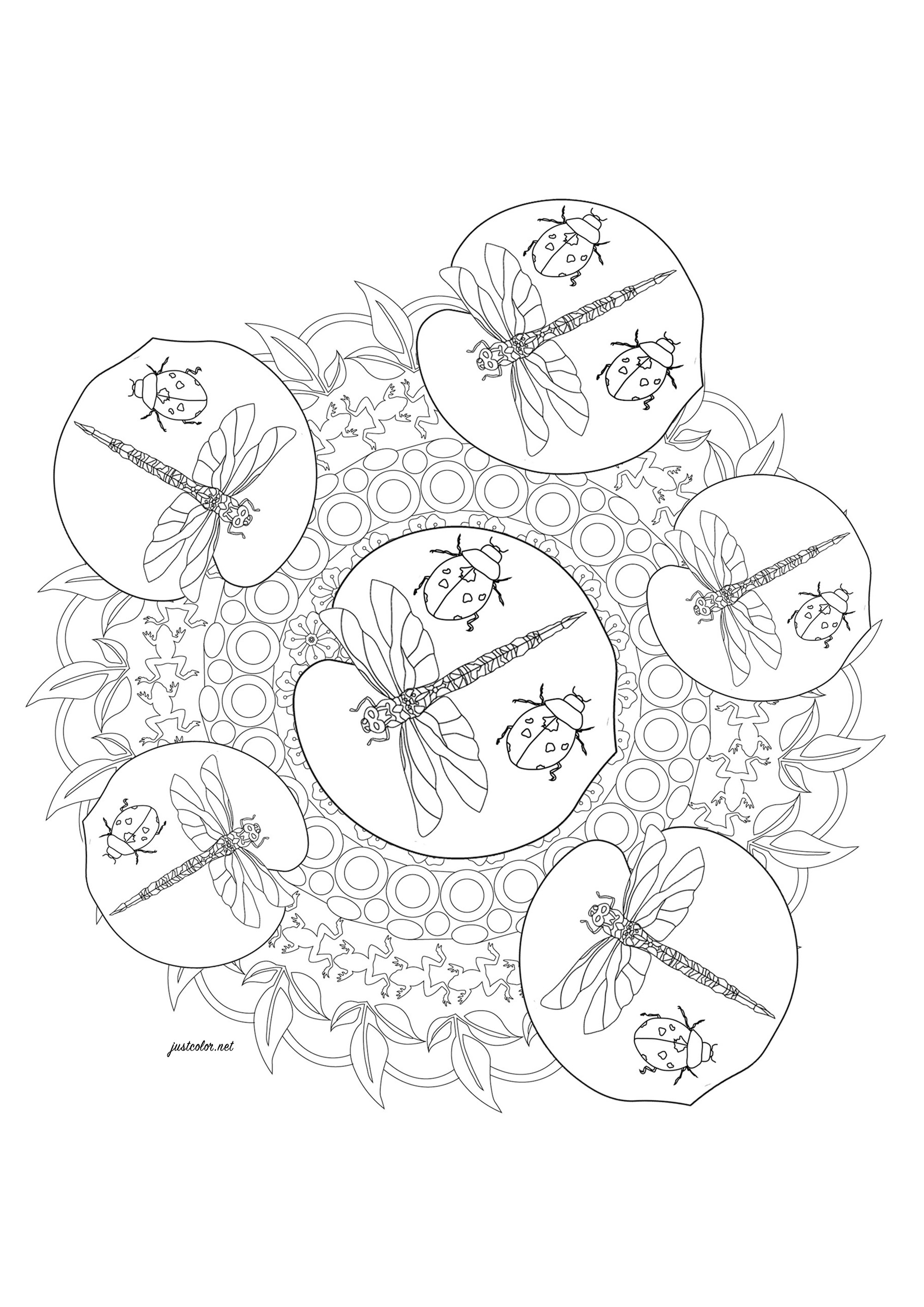 Coccinelles et libellules devant un joli Mandala