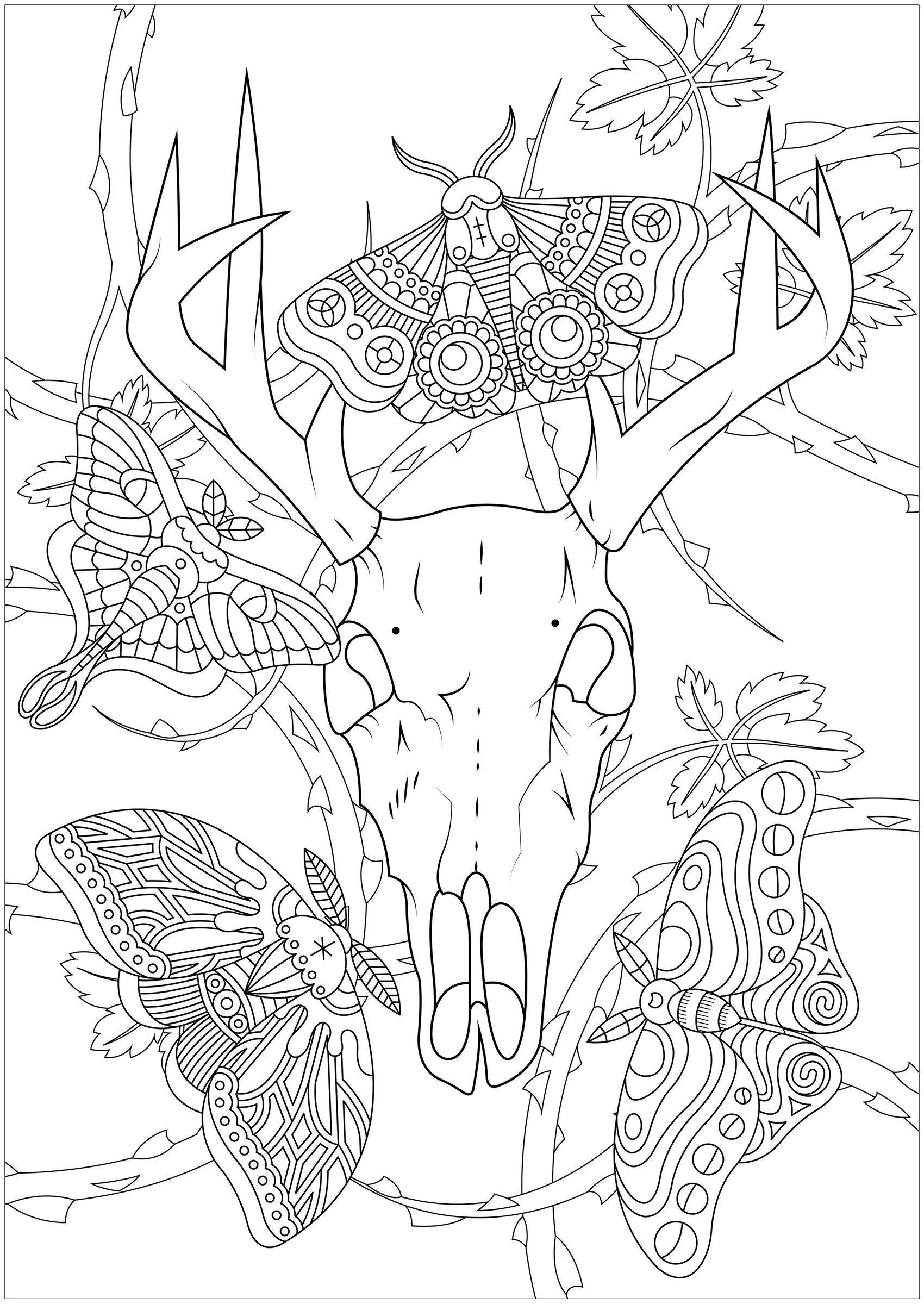 Quatre papillons de nuit et un crâne de cerf, avec des ronces en arrière plan ... . Un coloriage lugubre et intriguant, Artiste : Lucie