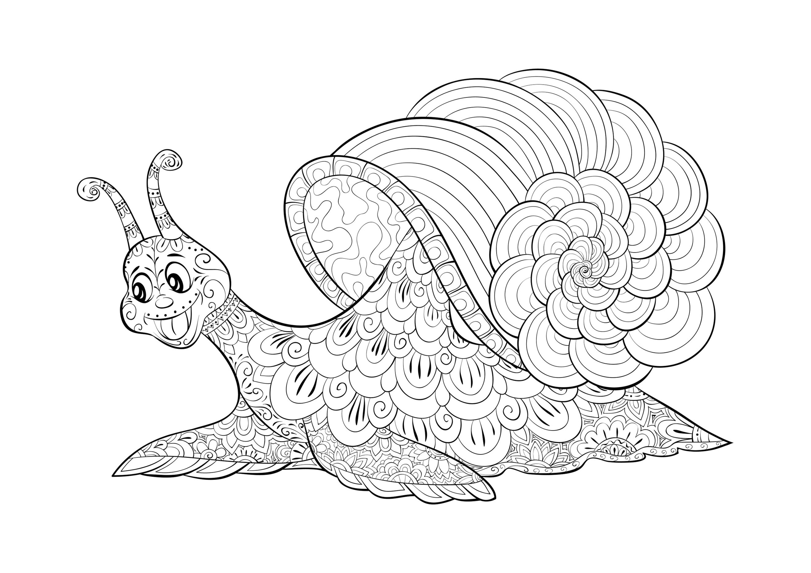 Coloriage d'un escargot souriant, composé de motifs plus ou moins complexes, Source : 123rf   Artiste : Nonuzza