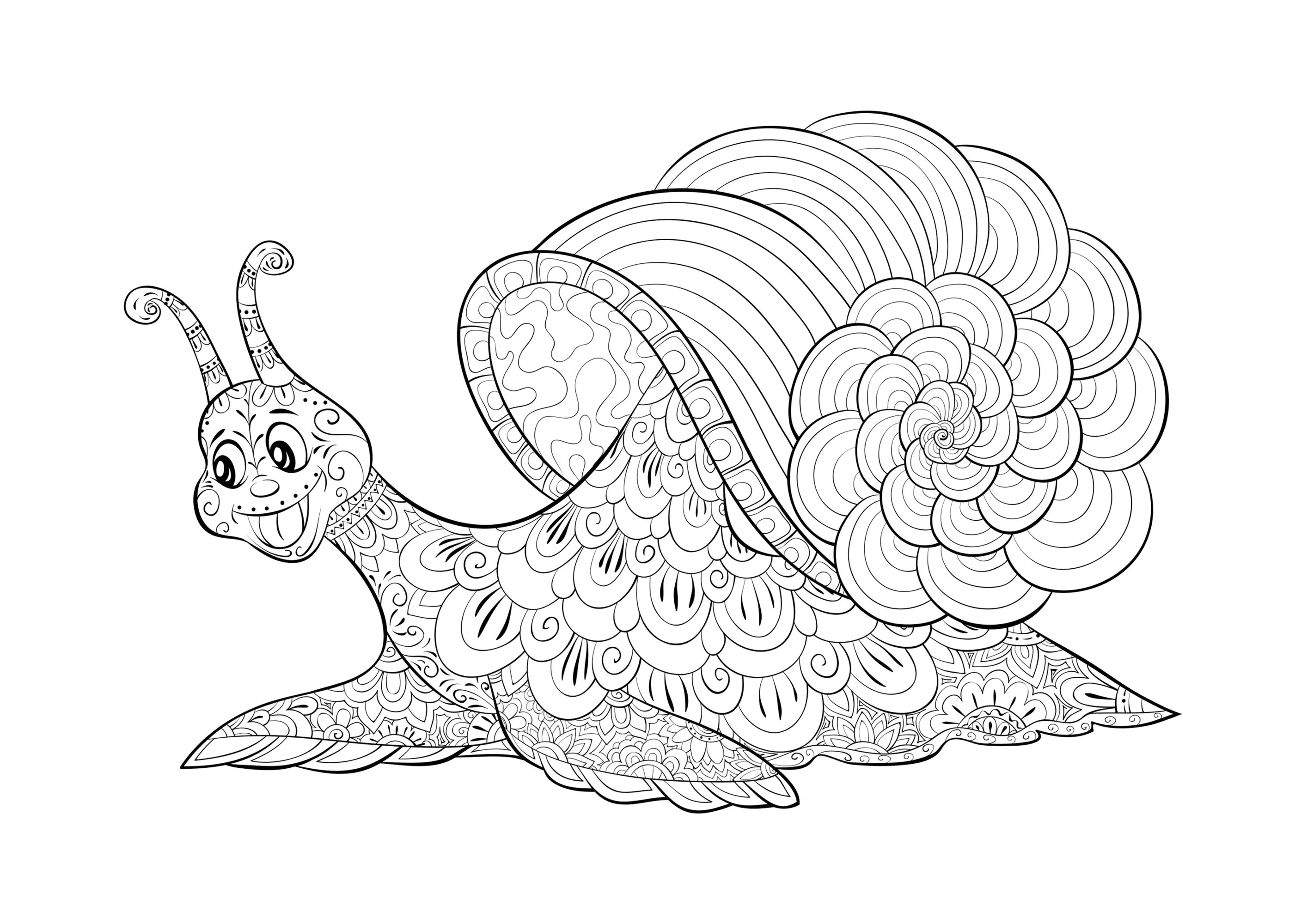 Escargot rigolo (Coloriage de Papillons & insectes à imprimer pour adultes)