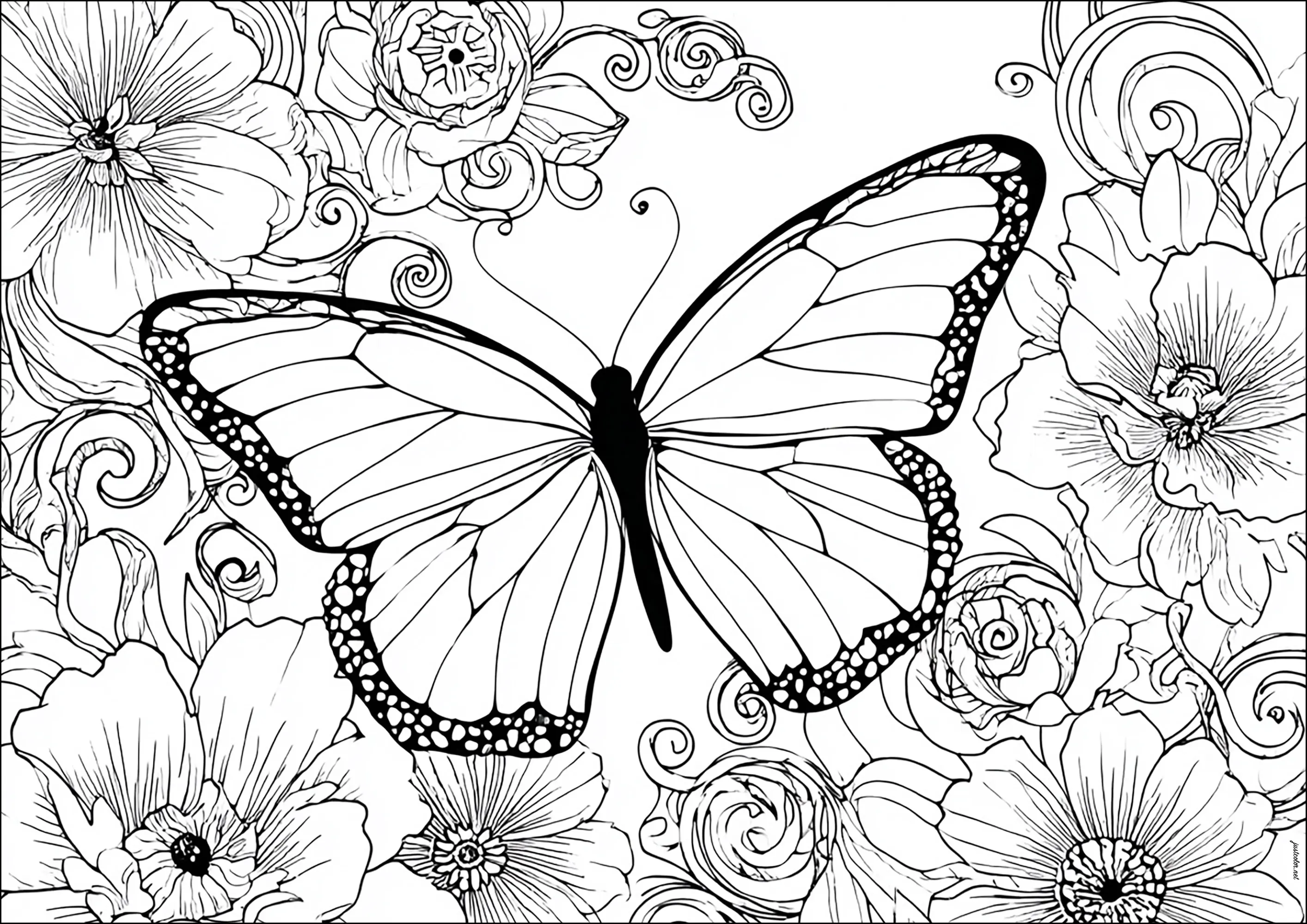 Joli papillon et fleurs (Coloriage de Papillons & insectes à imprimer pour adultes)