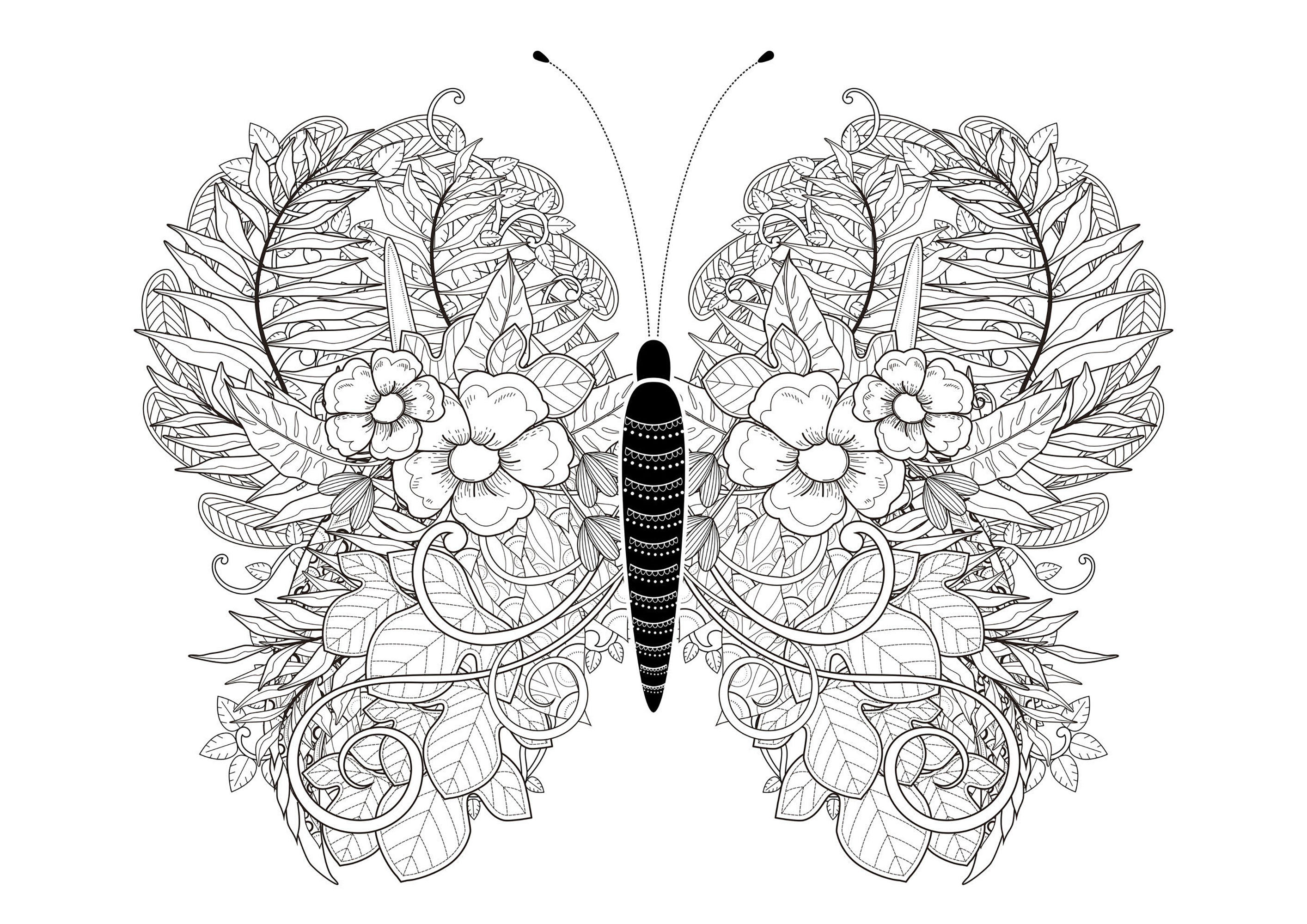 Papillon aux incroyables ailes  Papillons & insectes  Coloriages