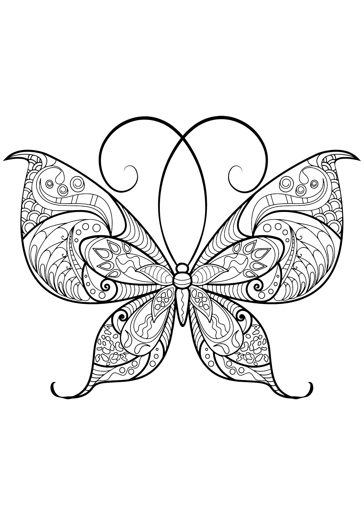 Coloriage d'un papillon avec des superbes motifs -