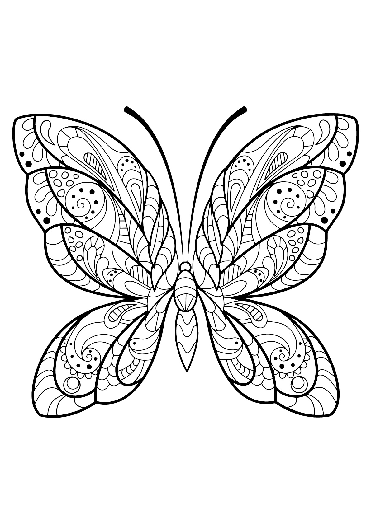 Coloriage d'un papillon avec des superbes motifs - 2