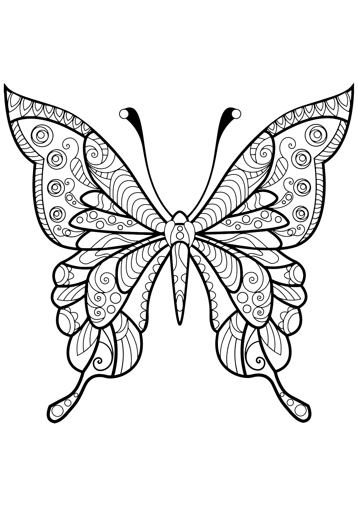 Coloriage d'un papillon avec des superbes motifs - 4