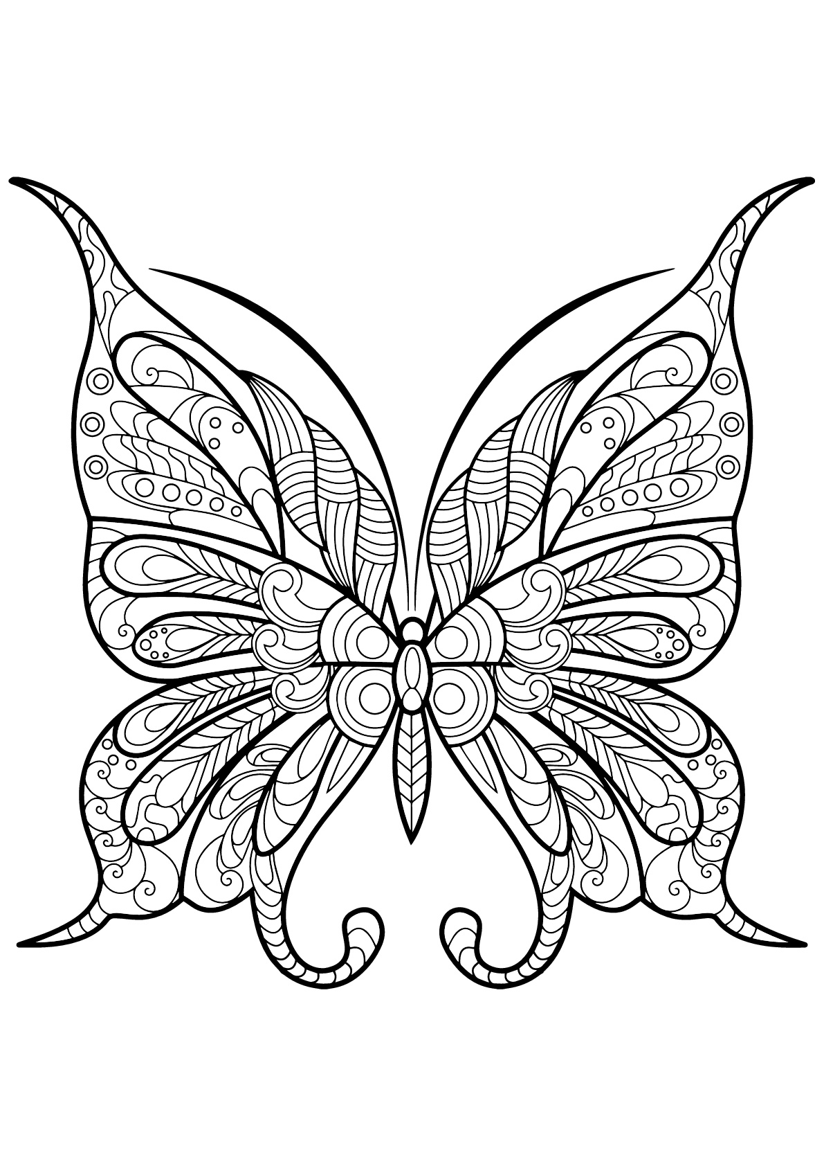 Coloriage d'un papillon avec des superbes motifs - 9