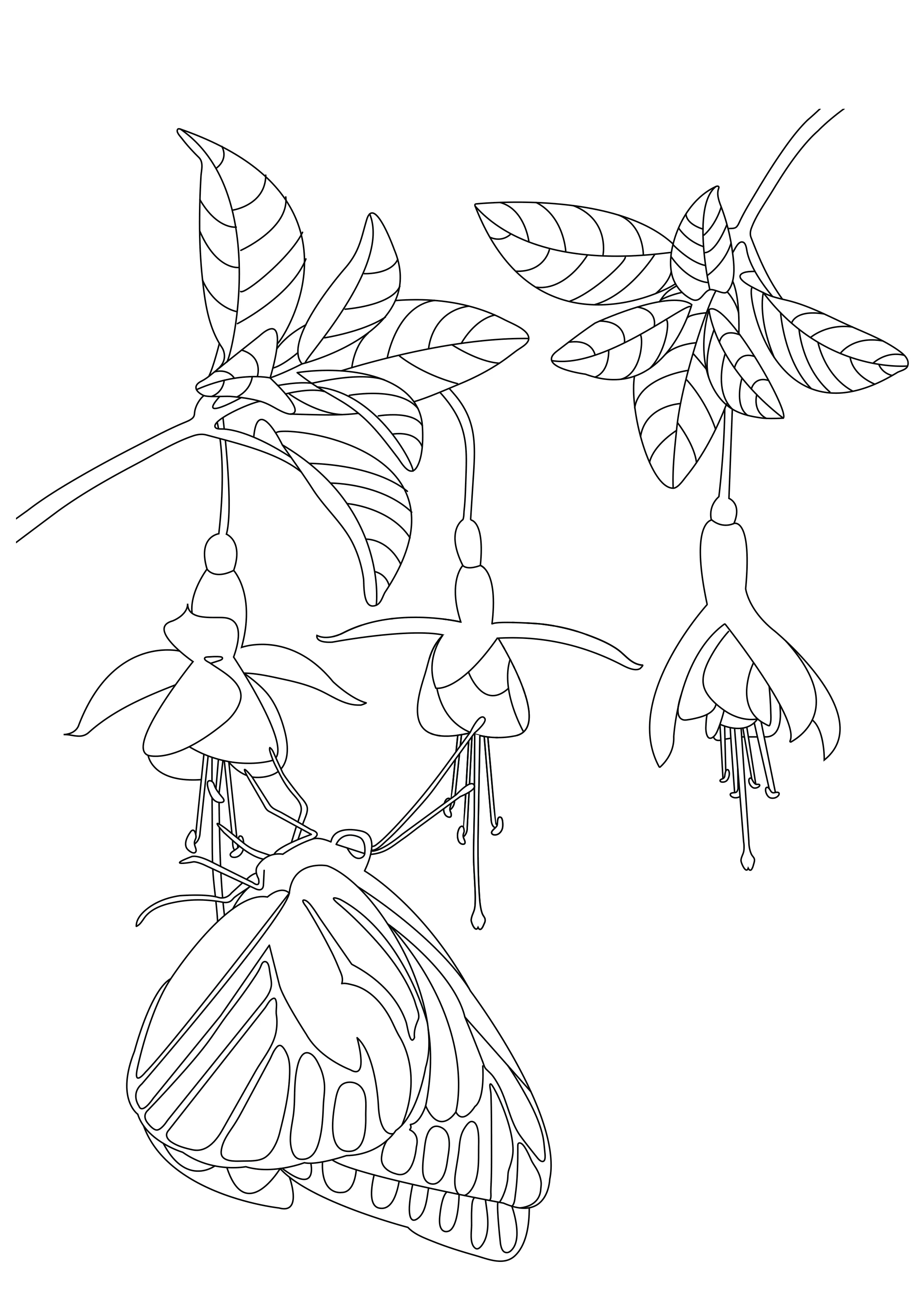 Papillon sous fleurs (Coloriage de Papillons & insectes à imprimer pour adultes)