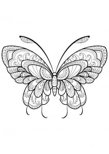 Coloriage papillon jolis motifs 11