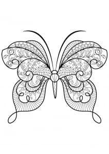 Coloriage d'un papillon avec des superbes motifs - 15 (Coloriage de Papillons & insectes)