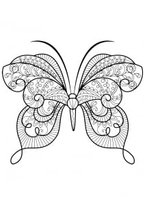 Coloriage papillon jolis motifs 15